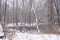 Snow 016